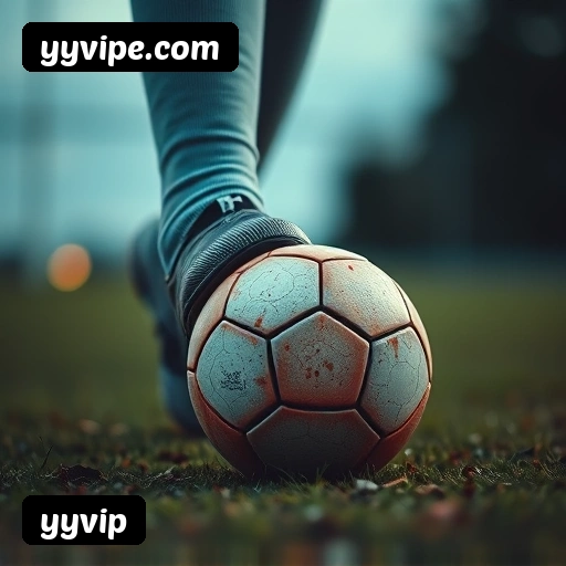 6 vantagens exclusivas do programa VIP da yyvip